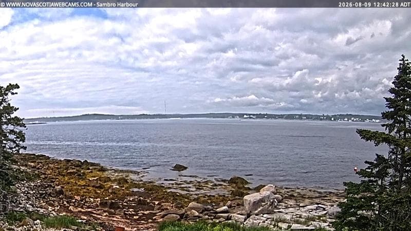 Sambro Harbour
