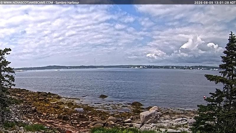 Sambro Harbour