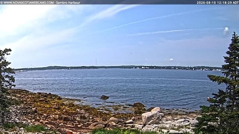 Sambro Harbour