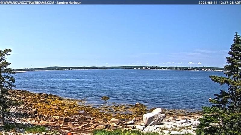 Sambro Harbour