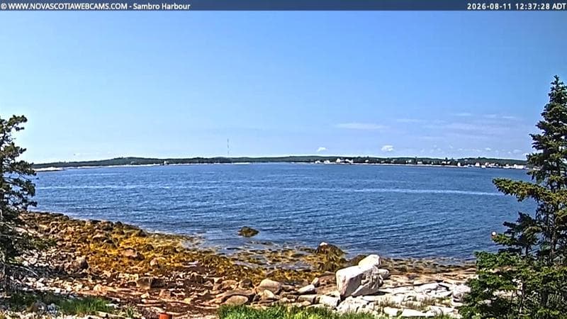 Sambro Harbour