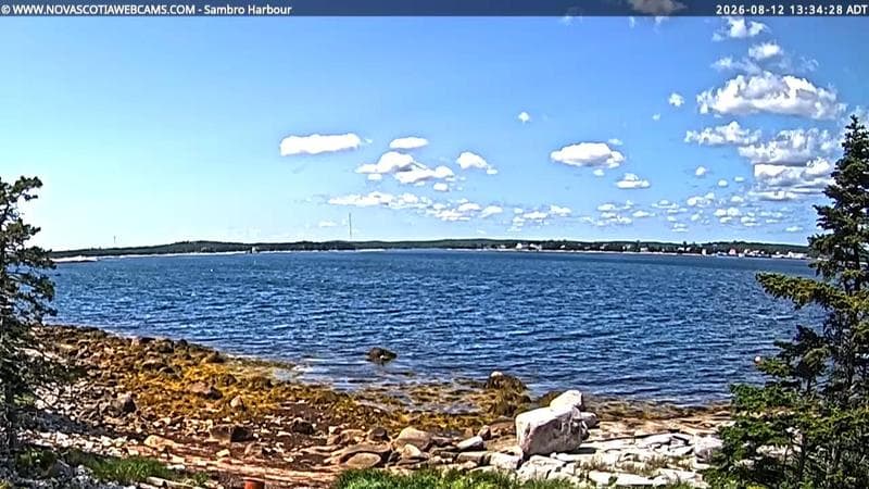 Sambro Harbour