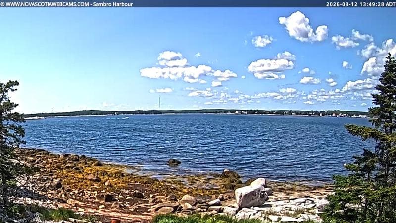 Sambro Harbour