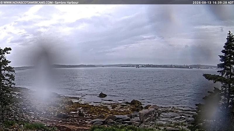 Sambro Harbour