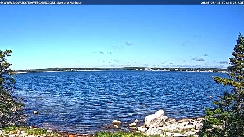 Sambro Harbour