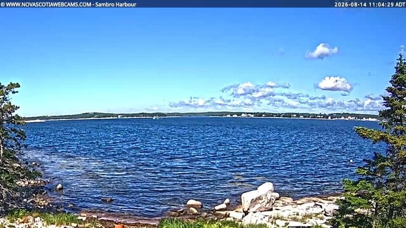 Sambro Harbour