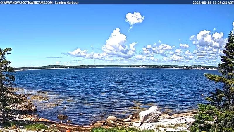 Sambro Harbour