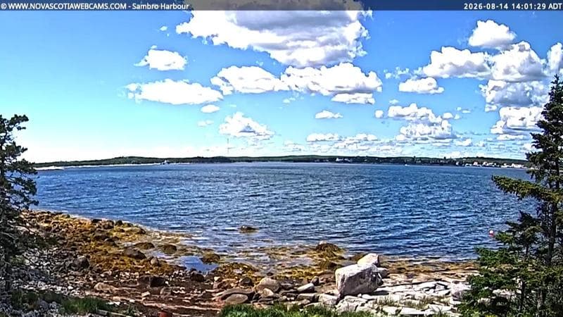 Sambro Harbour