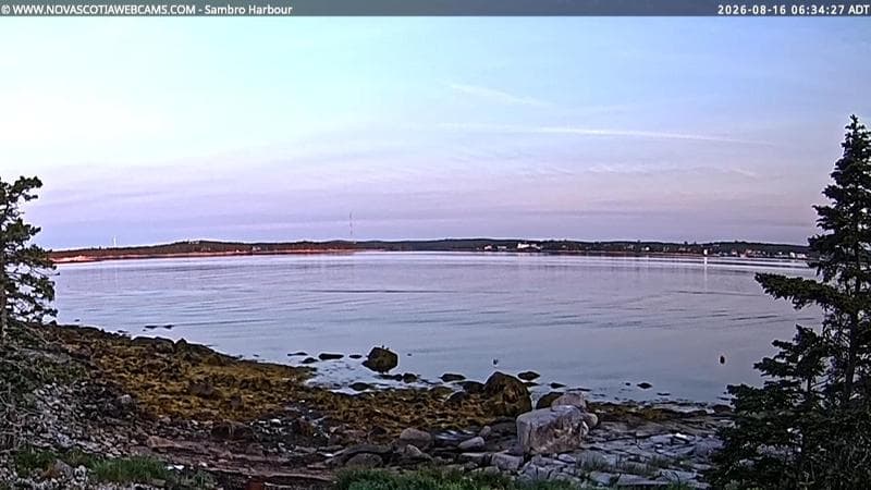 Sambro Harbour