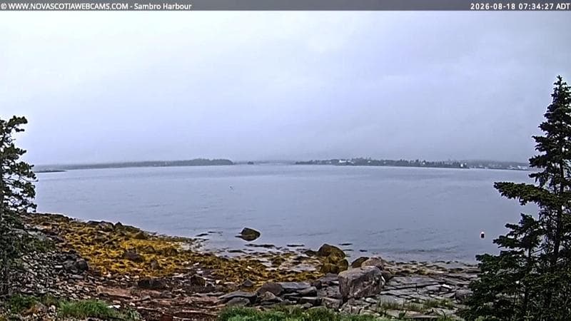 Sambro Harbour