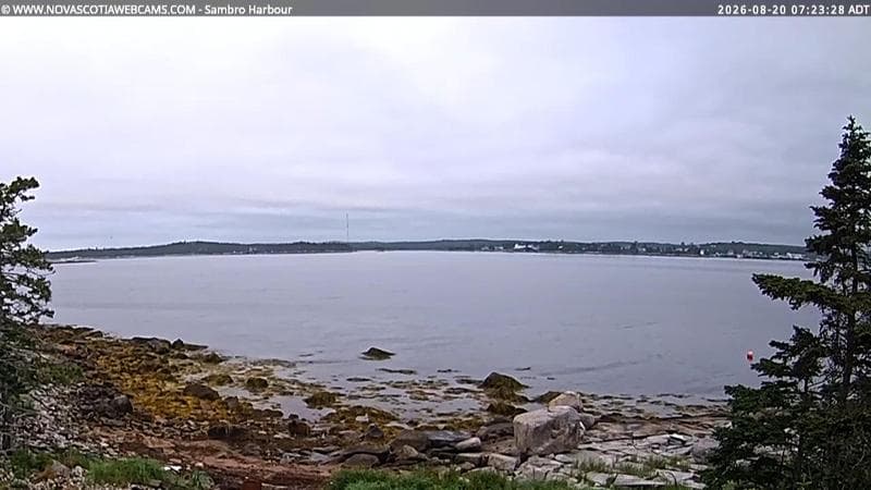Sambro Harbour