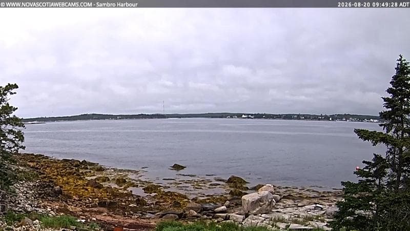 Sambro Harbour