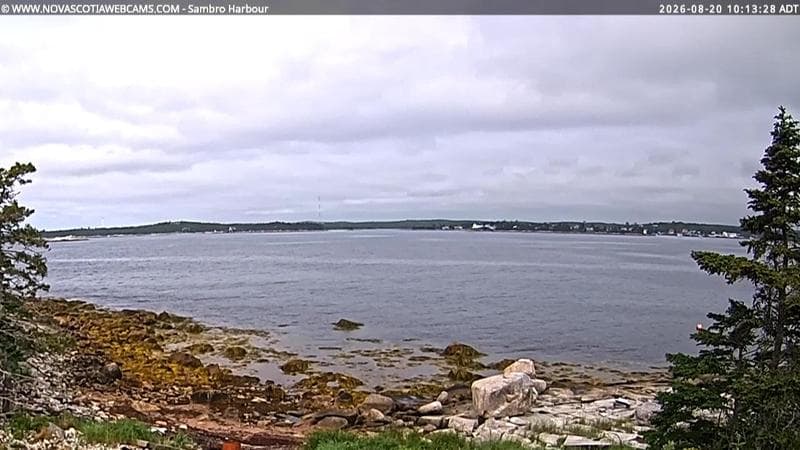 Sambro Harbour