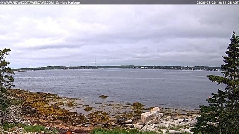 Sambro Harbour