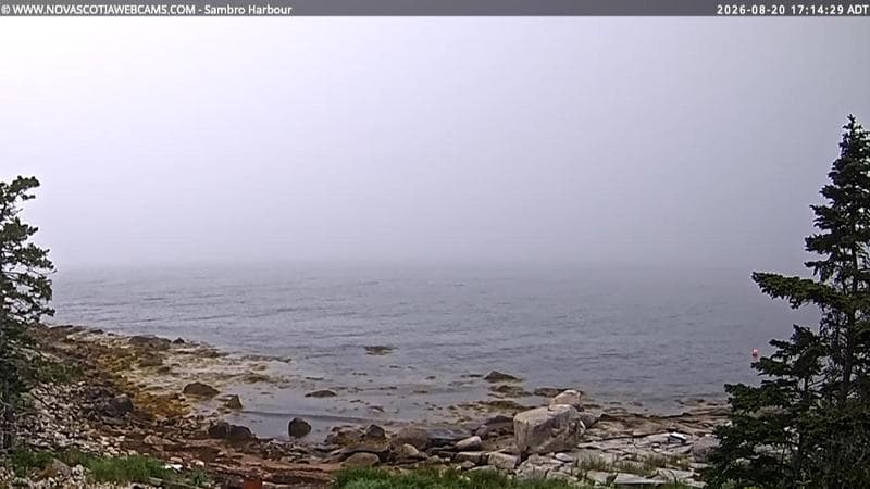 Sambro Harbour