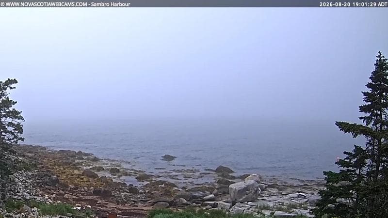 Sambro Harbour