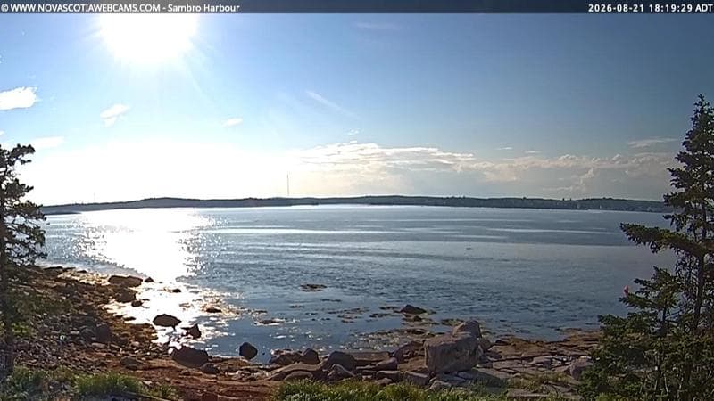 Sambro Harbour