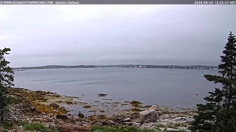 Sambro Harbour