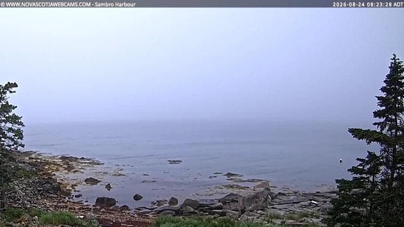 Sambro Harbour