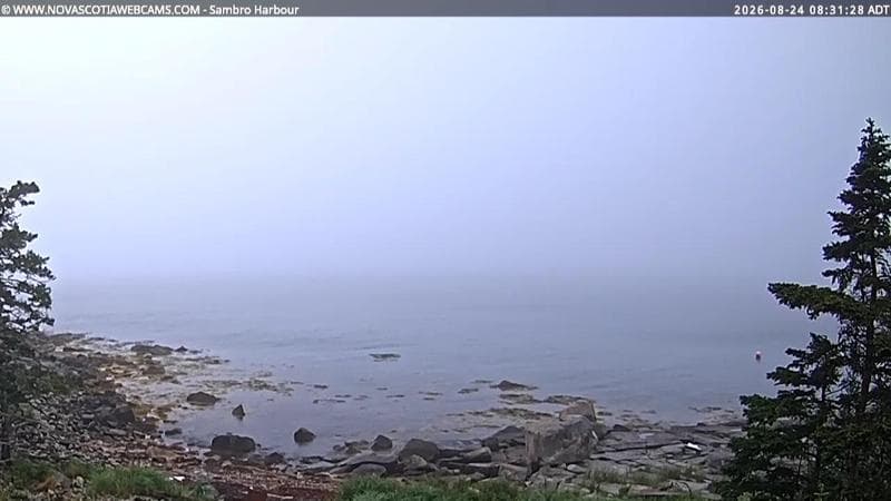 Sambro Harbour