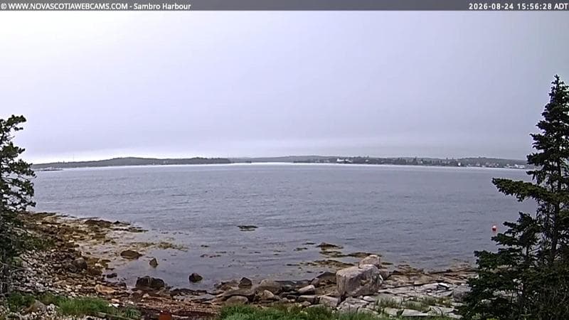 Sambro Harbour