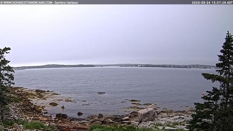 Sambro Harbour