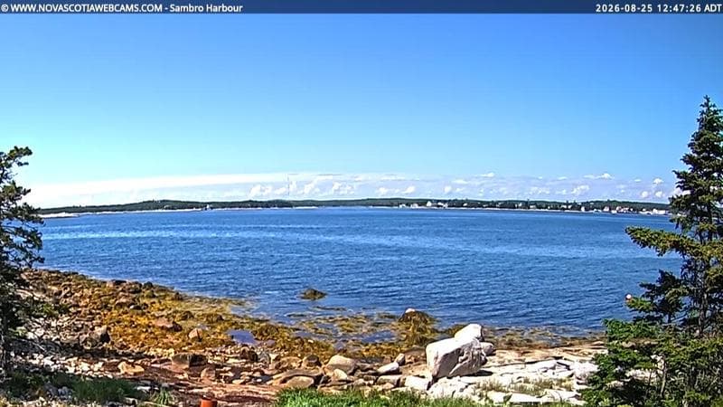 Sambro Harbour