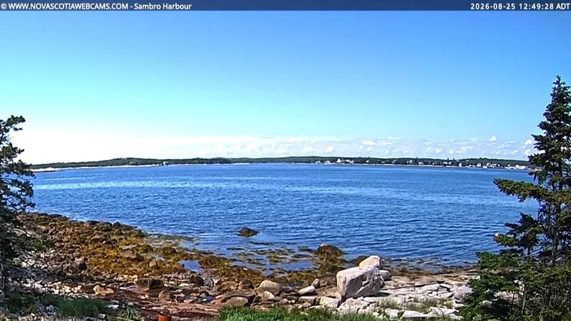 Sambro Harbour