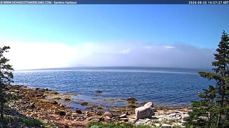 Sambro Harbour