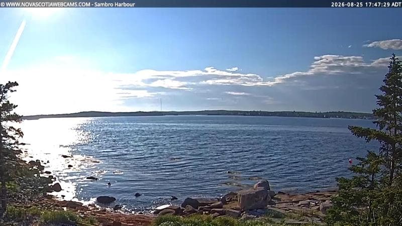 Sambro Harbour
