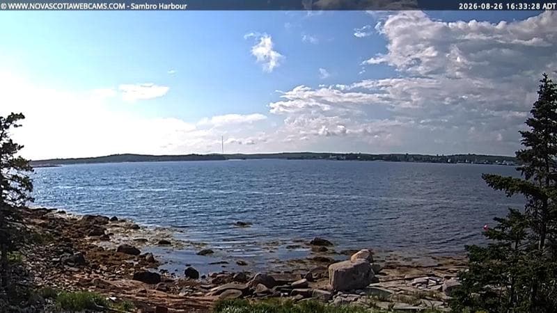 Sambro Harbour