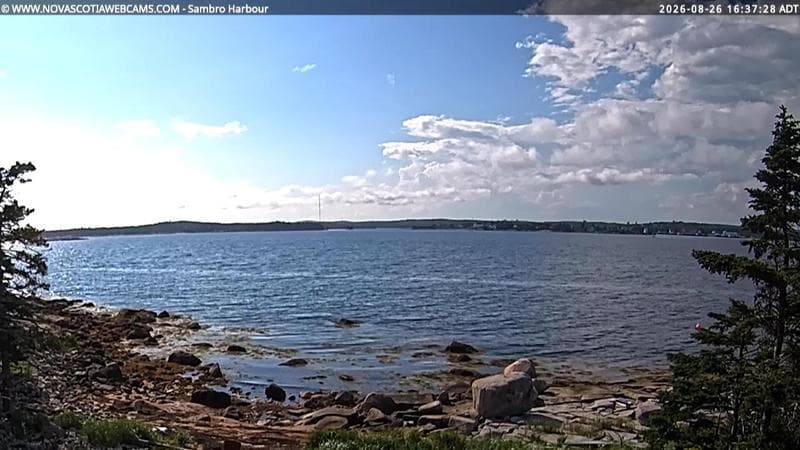 Sambro Harbour