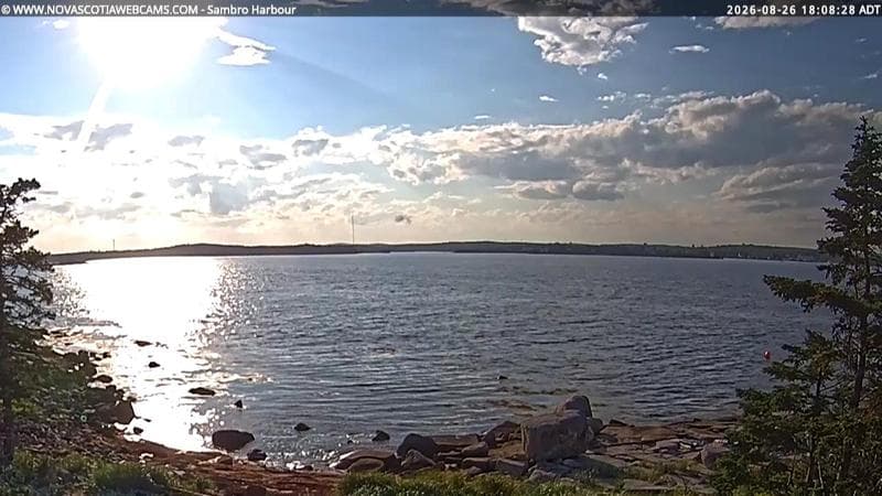 Sambro Harbour