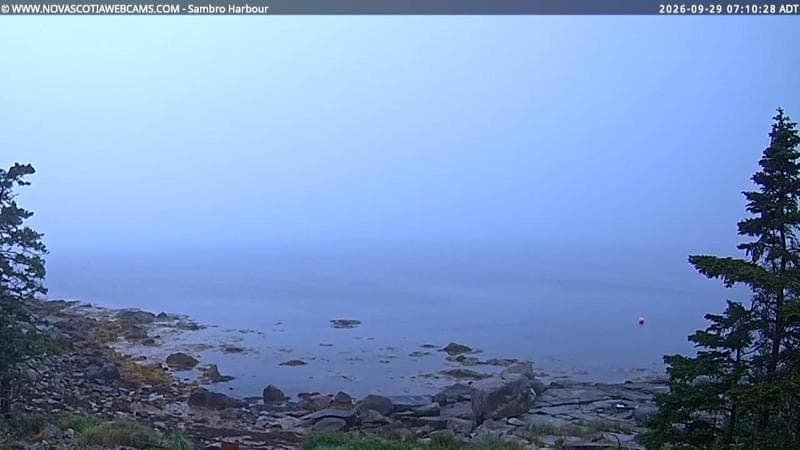 Sambro Harbour