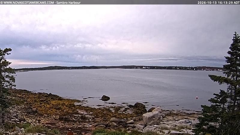 Sambro Harbour