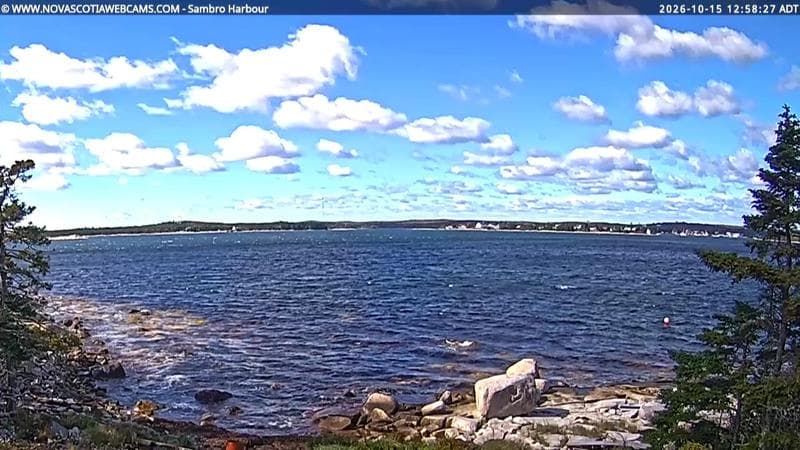 Sambro Harbour