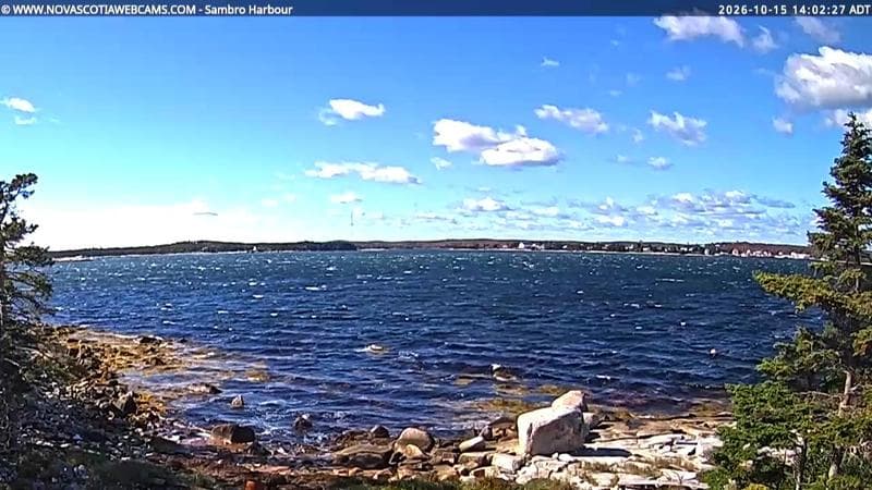 Sambro Harbour