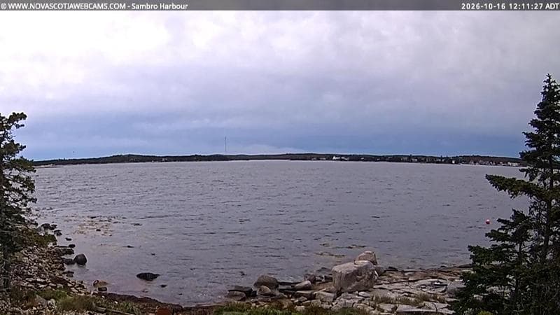 Sambro Harbour