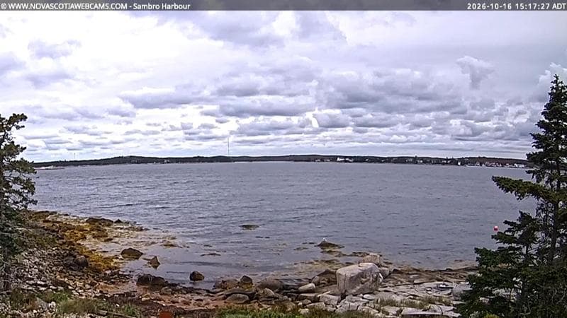 Sambro Harbour