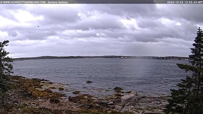 Sambro Harbour