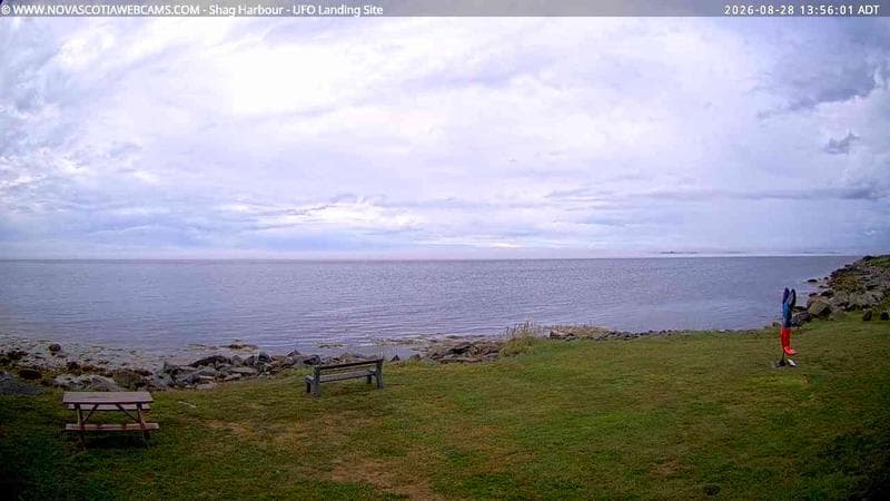 Shag Harbour