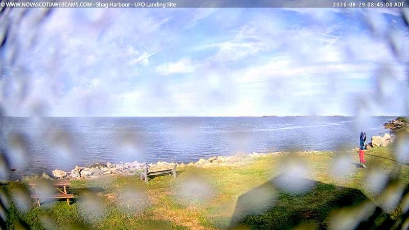 Shag Harbour
