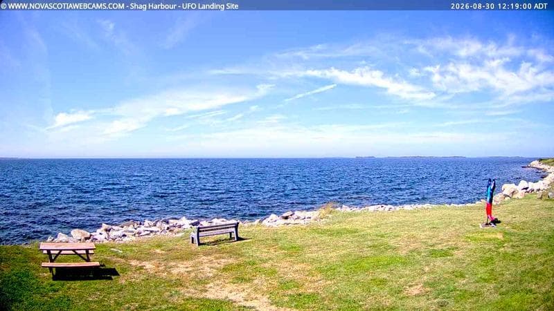 Shag Harbour