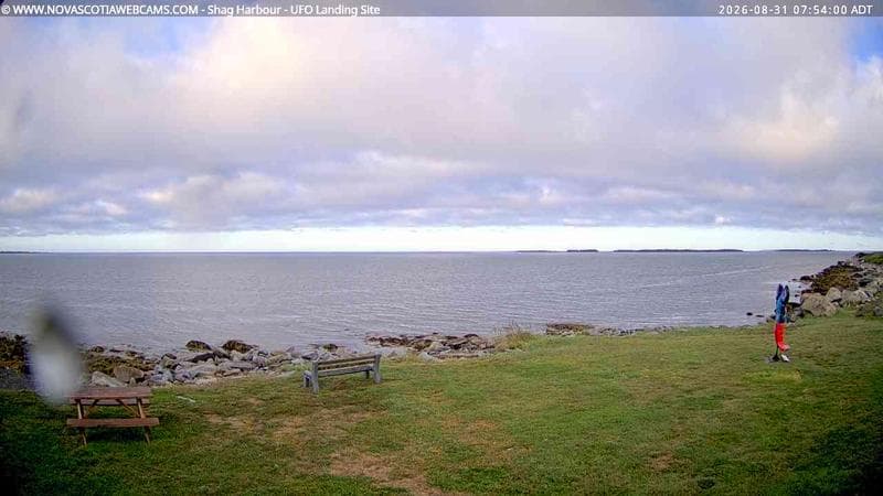 Shag Harbour