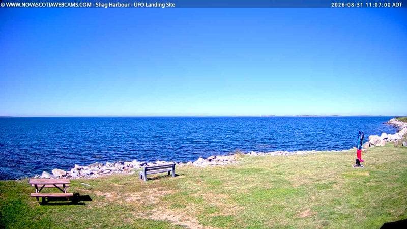 Shag Harbour