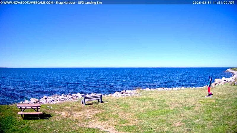 Shag Harbour