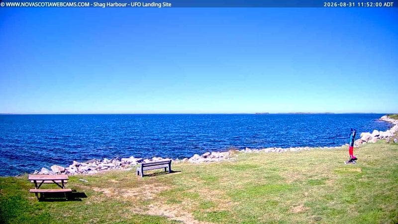 Shag Harbour