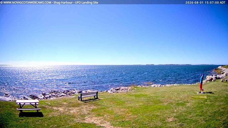 Shag Harbour
