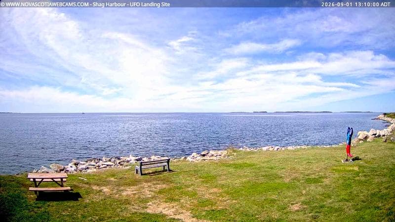 Shag Harbour