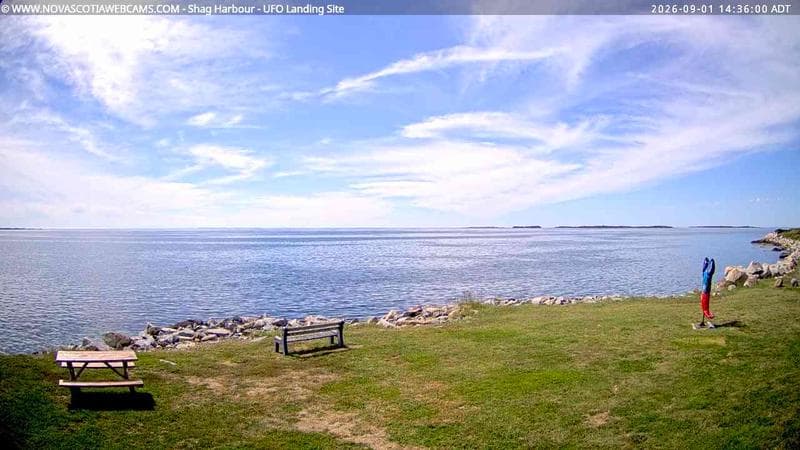 Shag Harbour